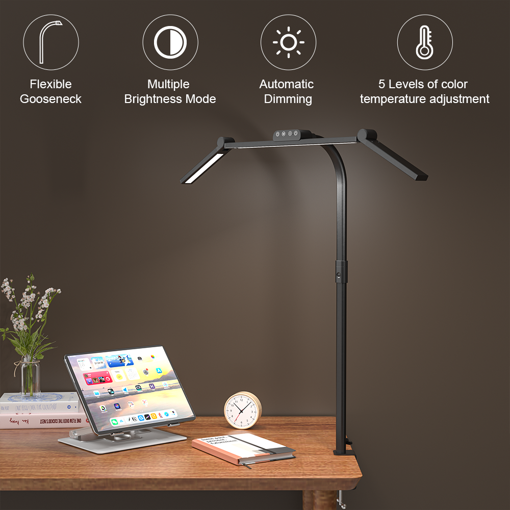 Adjustable Dual-Arm LED Desk Lamp