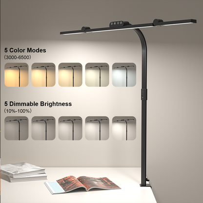 Adjustable Dual-Arm LED Desk Lamp