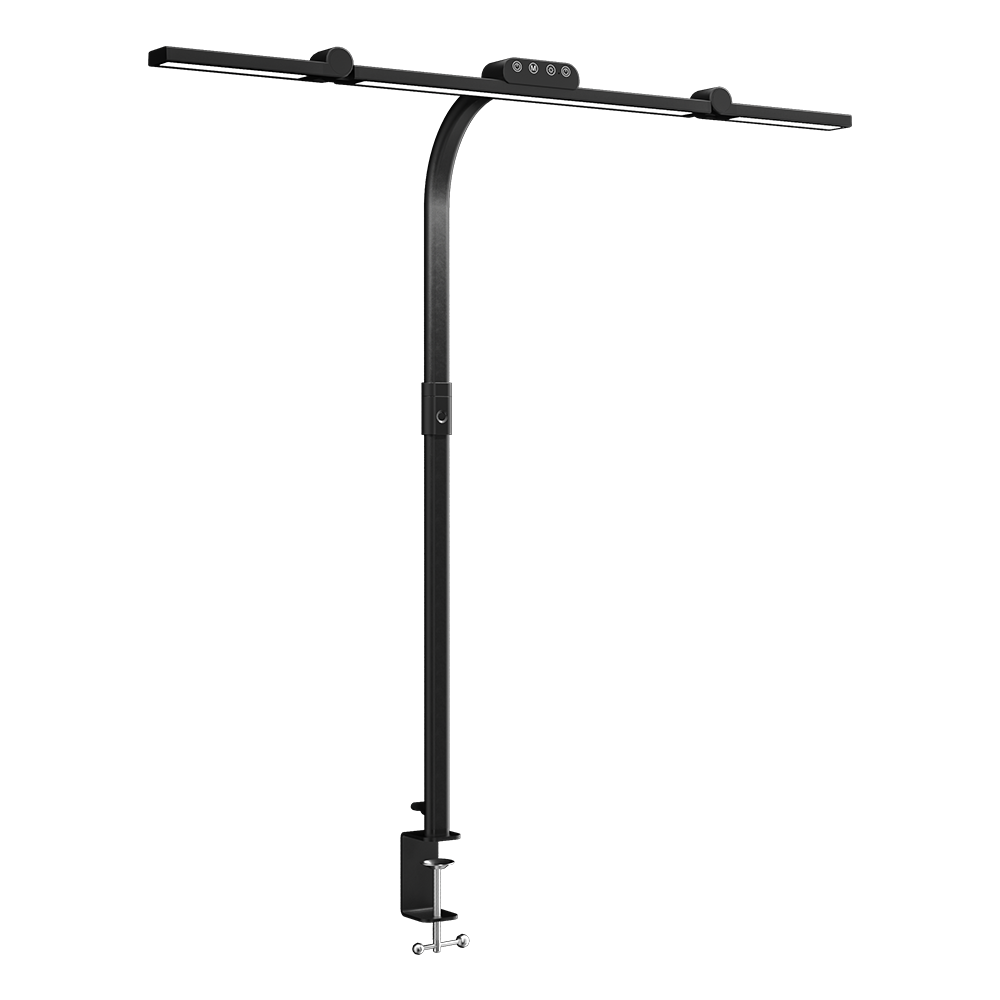 Adjustable Dual-Arm LED Desk Lamp